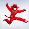 Benny the Bull